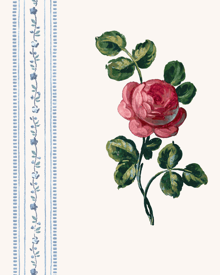 'Le Rosebud' Wallpaper by Clare V. - Lipstick Cream