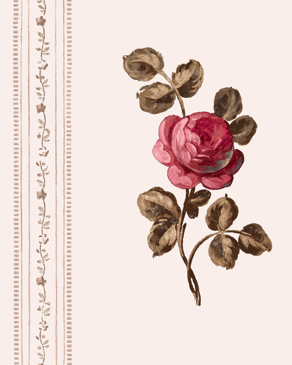 'Le Rosebud' Wallpaper by Clare V. - Petal Brown