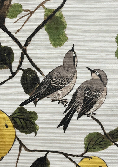 'Lemon Birds' Grasscloth Wallpaper by Nathan Turner - Neutral