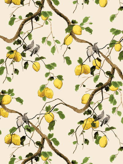 lemon birds wallpaper by nathan turner beige