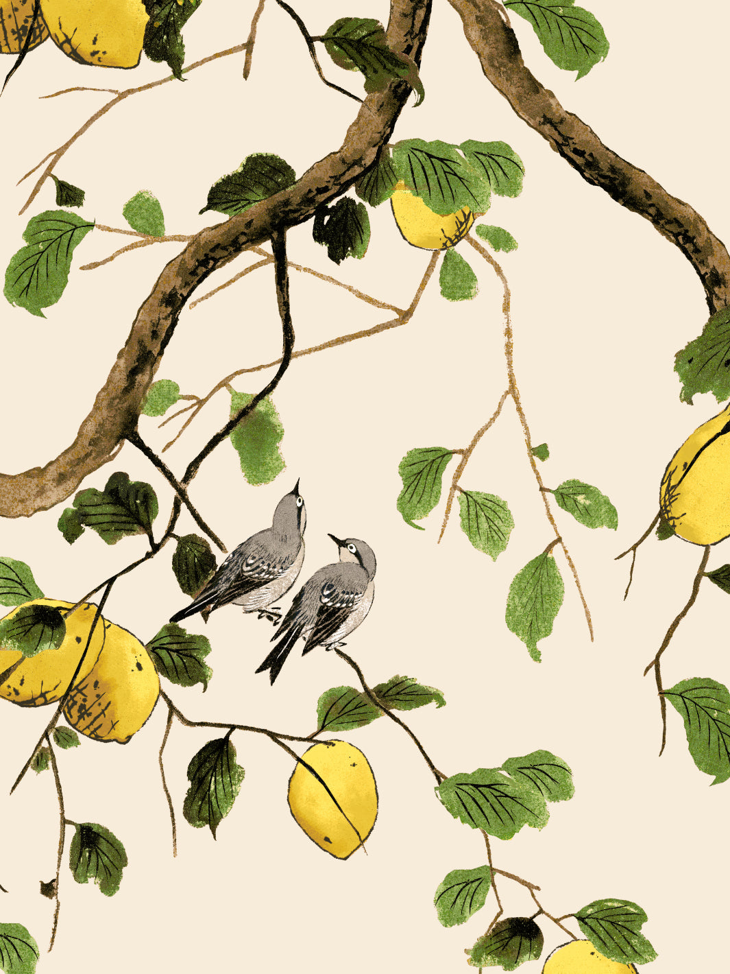 'Lemon Birds' Wallpaper by Nathan Turner - Beige