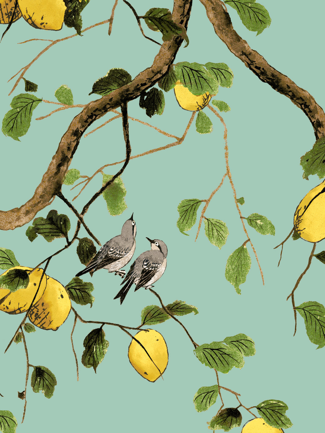 'Lemon Birds' Wallpaper by Nathan Turner - Jade Green