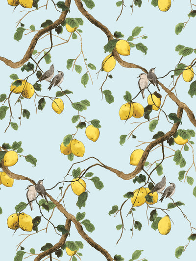 'Lemon Birds' Wallpaper by Nathan Turner - Light Blue
