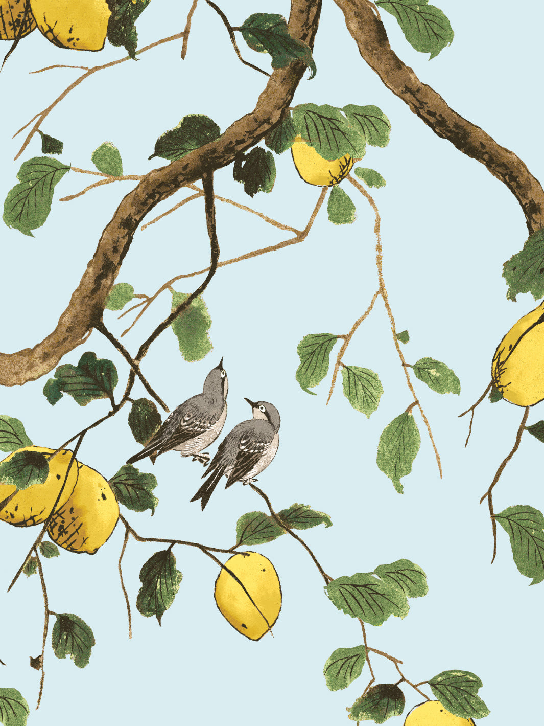 'Lemon Birds' Wallpaper by Nathan Turner - Light Blue