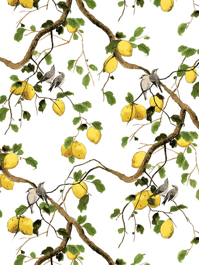 'Lemon Birds' Wallpaper by Nathan Turner - White