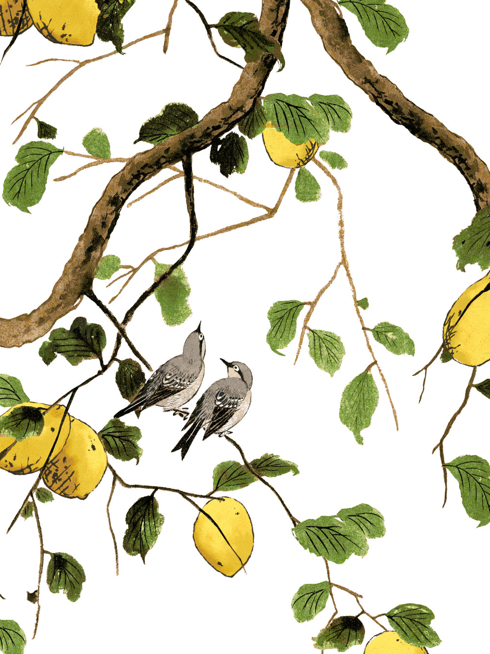 lemon-birds-wallpaper-by-nathan-turner-white