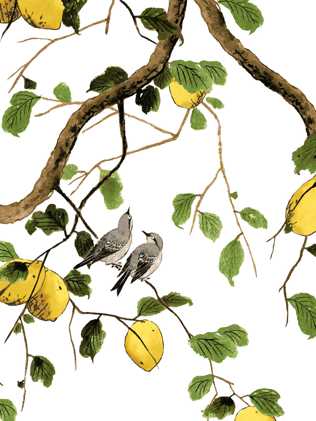 lemon-birds-wallpaper-by-nathan-turner-white