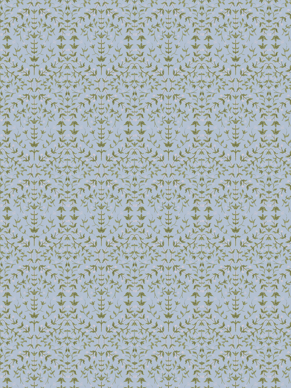 Close crop of soft olive green lily sprigs on pale powder blue-grey