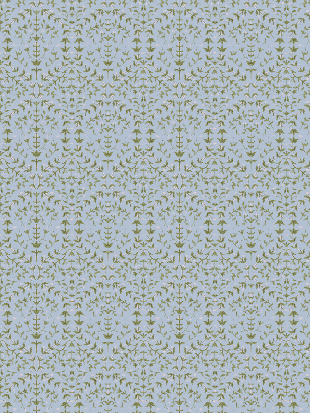 Close crop of soft olive green lily sprigs on pale powder blue-grey