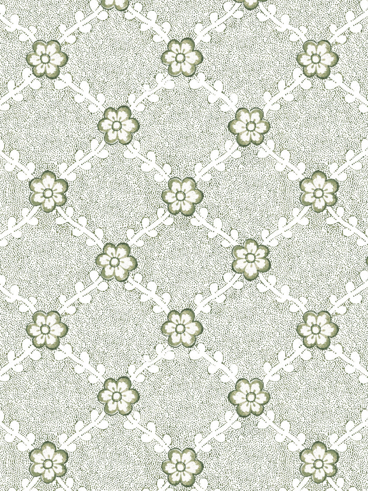 lucia-wallpaper-by-nathan-turner-green