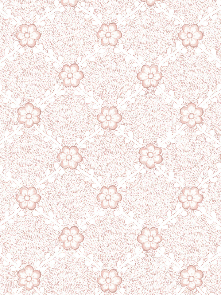 lucia-wallpaper-by-nathan-turner-pink