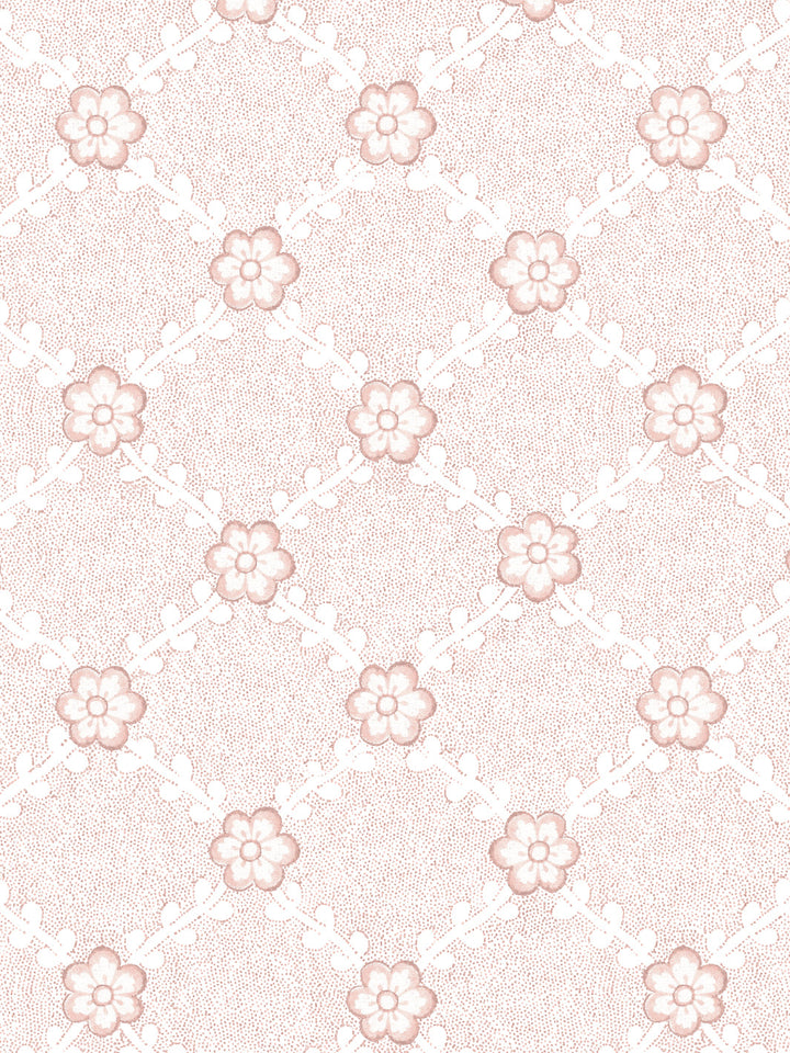 lucia-wallpaper-by-nathan-turner-pink