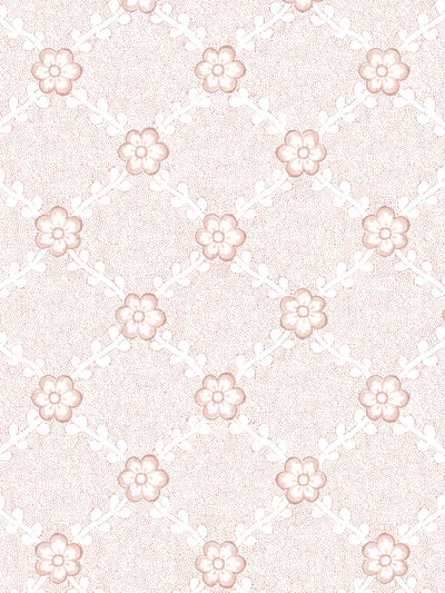 'Lucia' Wallpaper by Nathan Turner - Pink
