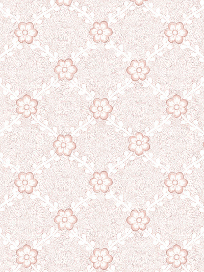 lucia wallpaper by nathan turner pink