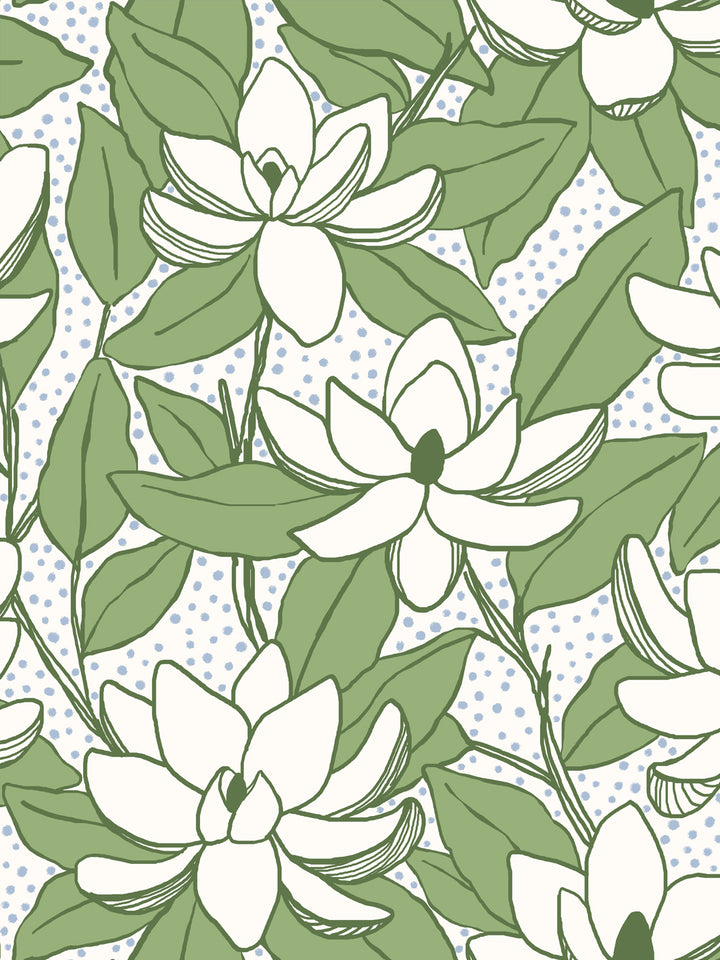 Close crop of ivory to off-white flowers magnolia blooms on white