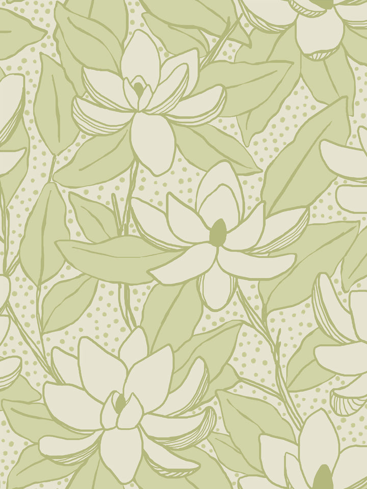 Close crop of ivory cream flowers magnolia blooms on pale celery green