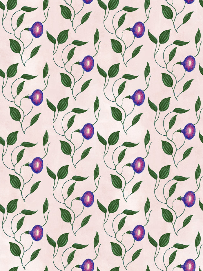 'Midnight Morning Glory' Wallpaper by Mary Maguire - Blush