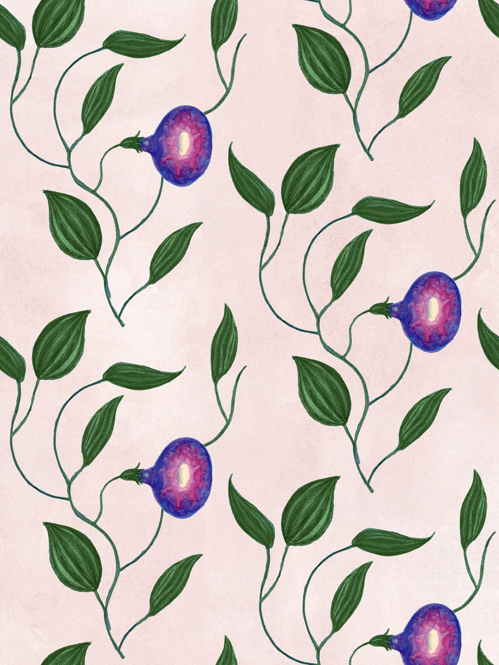 Botanical wallpaper design with green leaves and purple morning glory blooms on blush