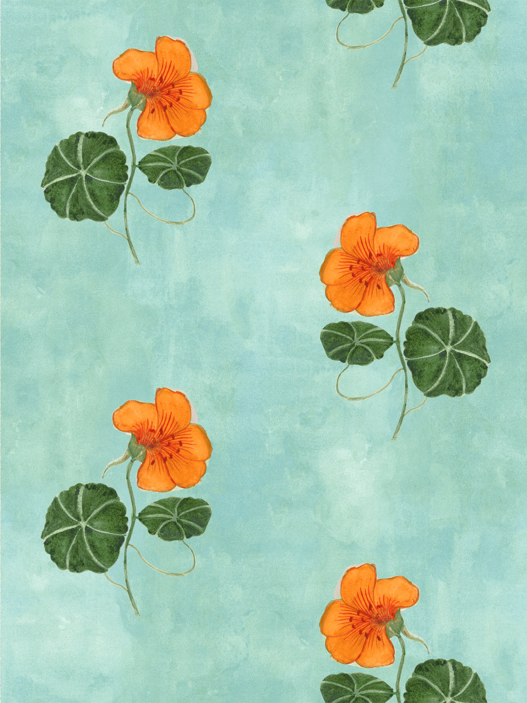 Aqua blue wallpaper with orange nasturtium flowers and green trailing leaves pattern