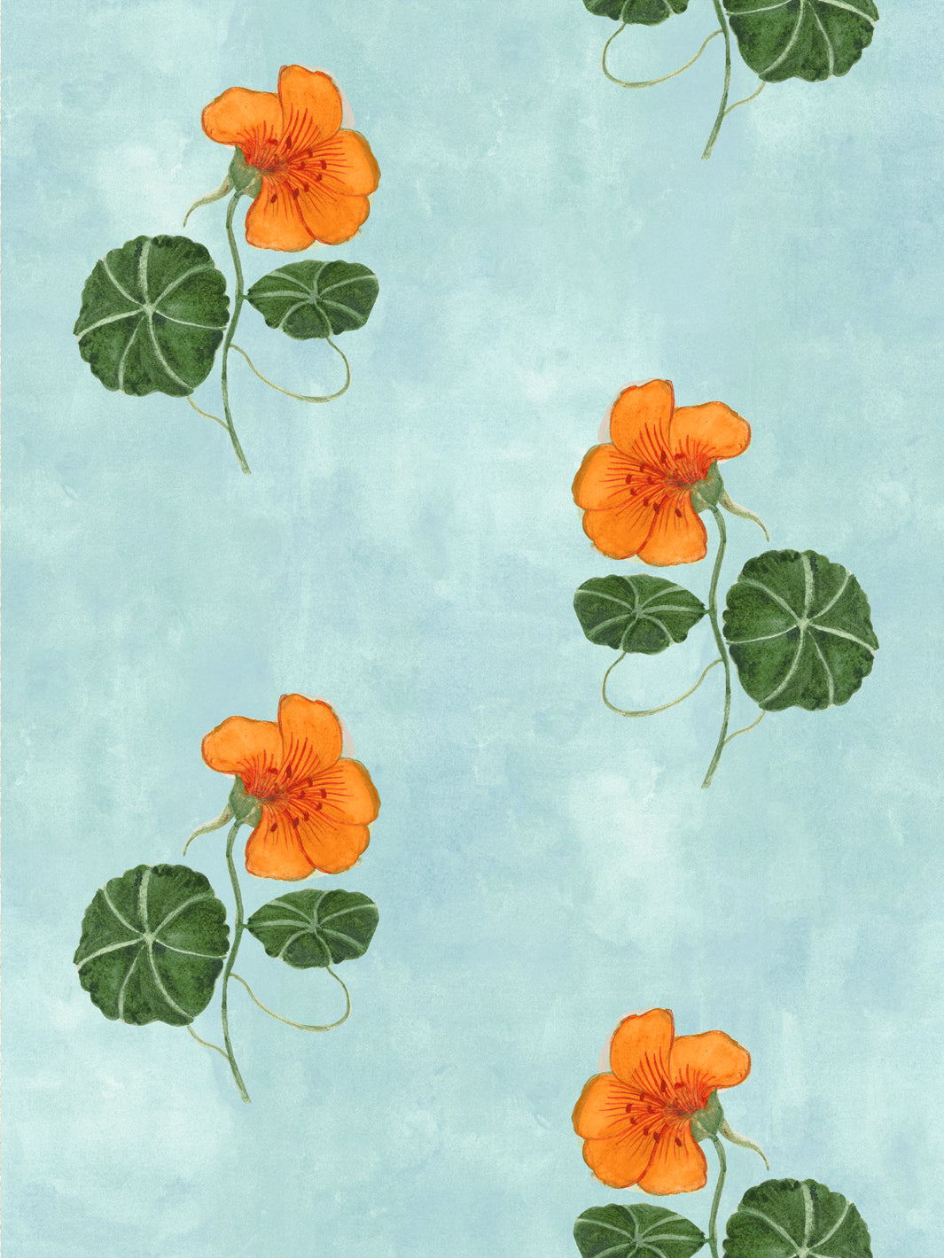 Floral wallpaper with orange nasturtiums and green leaves on light blue background