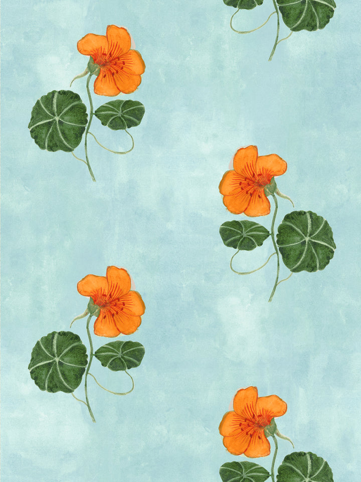 Floral wallpaper with orange nasturtiums and green leaves on light blue background