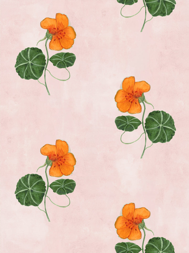Blush floral wallpaper with orange nasturtium blossoms and green leaves