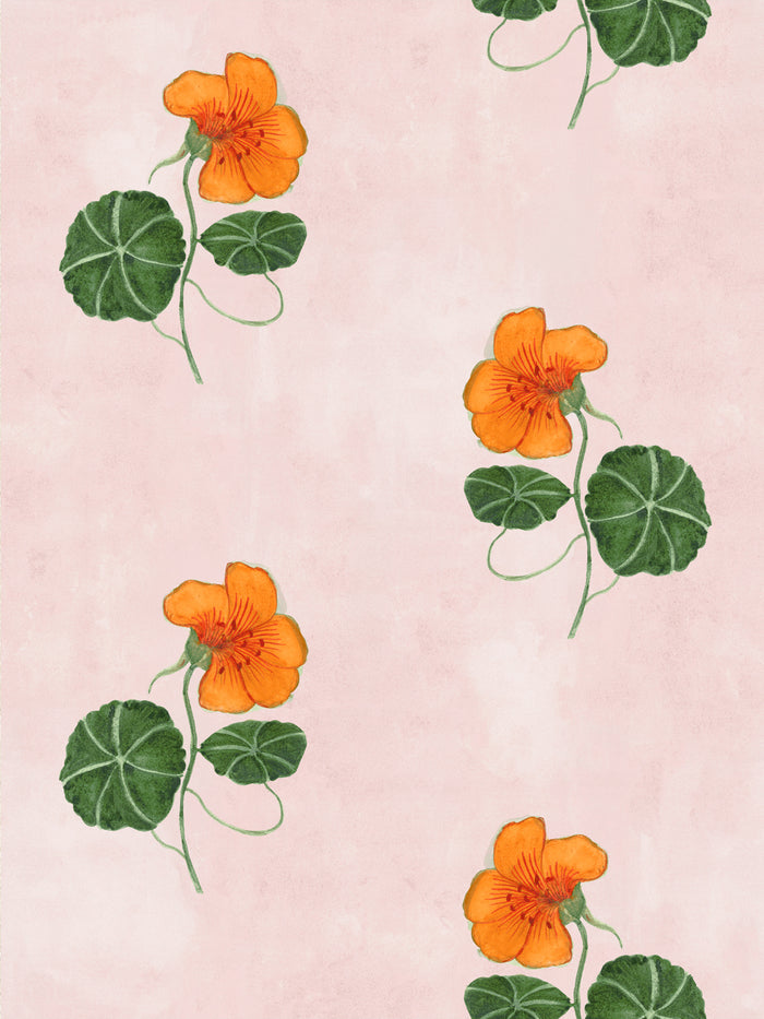 'Nasturtium' Wallpaper by Mary Maguire - Blush