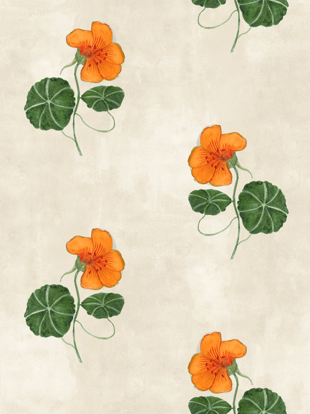 Orange nasturtium flowers and green leaves wallpaper on parchment background