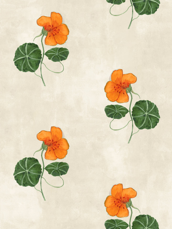 Orange nasturtium flowers and green leaves wallpaper on parchment background