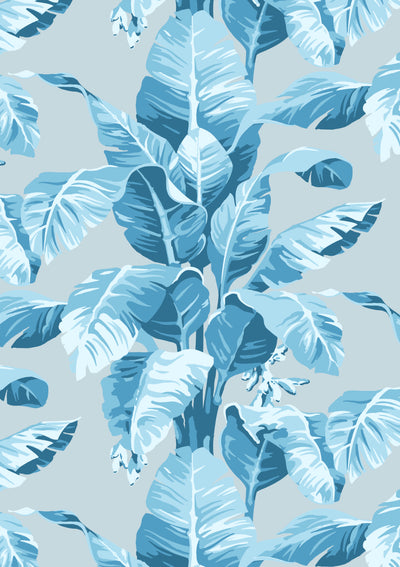 pacifico palm wallpaper by nathan turner seaglass