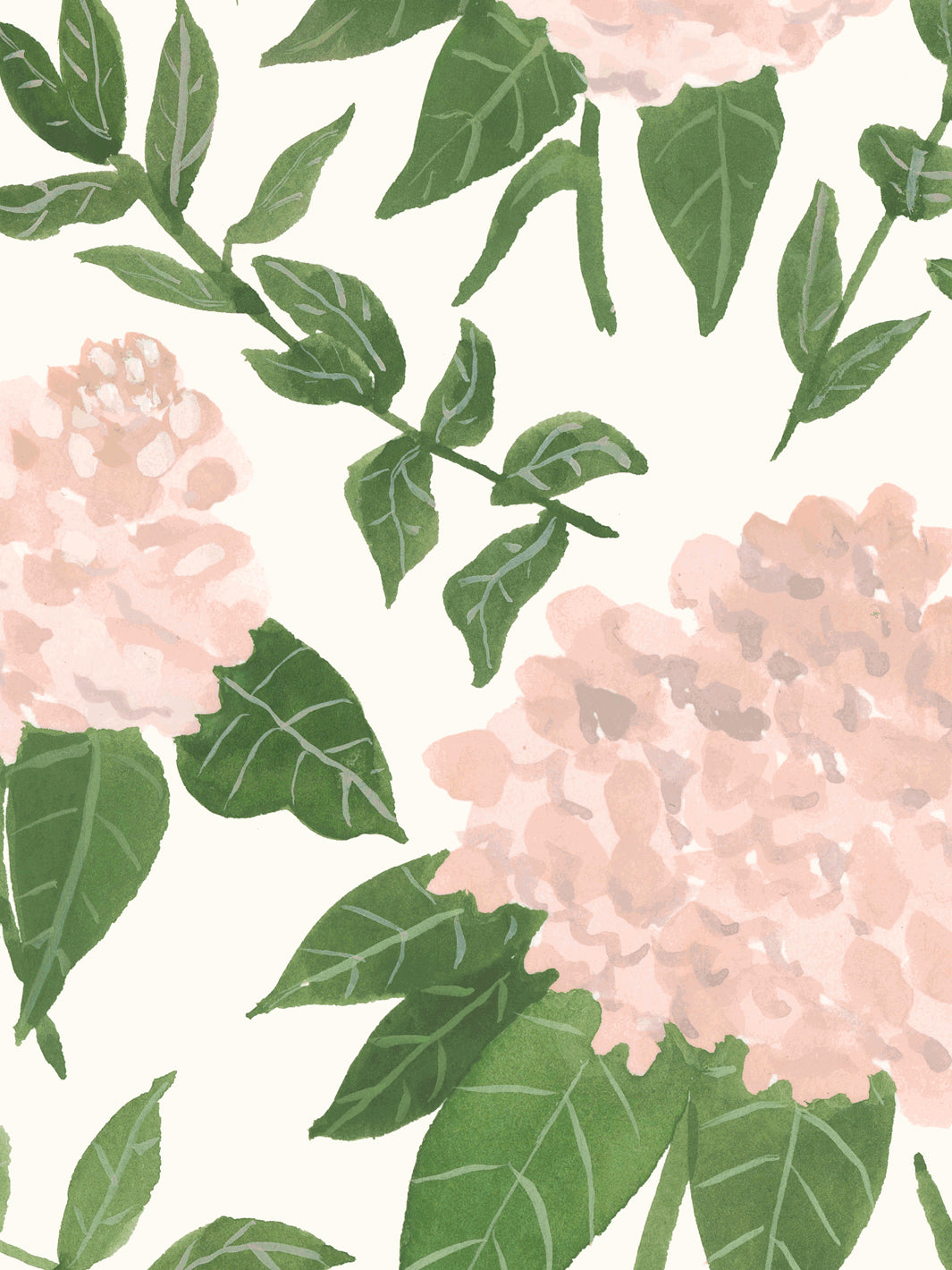 'Painted Hydrangea' Wallpaper by Wallshoppe - Blush