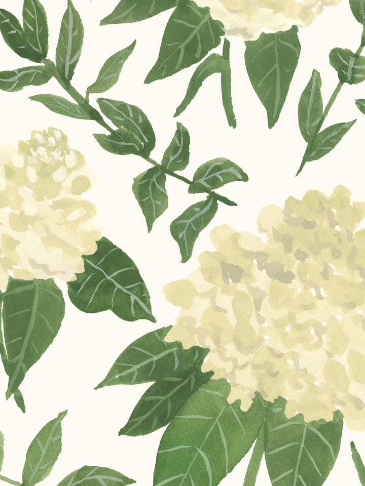 'Painted Hydrangea' Wallpaper by Wallshoppe - Cream