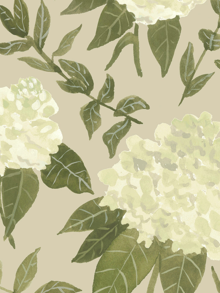 'Painted Hydrangea' Wallpaper by Wallshoppe - Olive