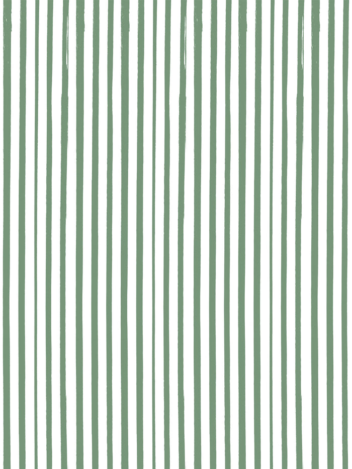 'Painted Stripe' Wallpaper by Meri Meri - Dark Sage