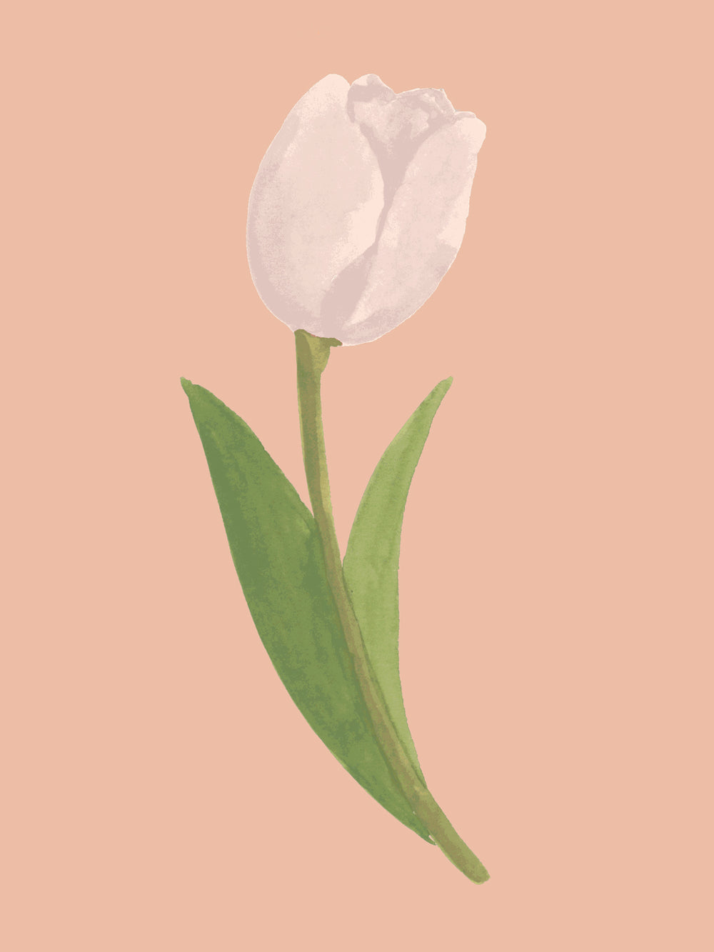 'Painted Tulip' Wallpaper in Apricot - Detail Close-Up