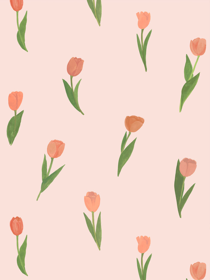 'Painted Tulip' Wallpaper by Wallshoppe - Blush Bloom