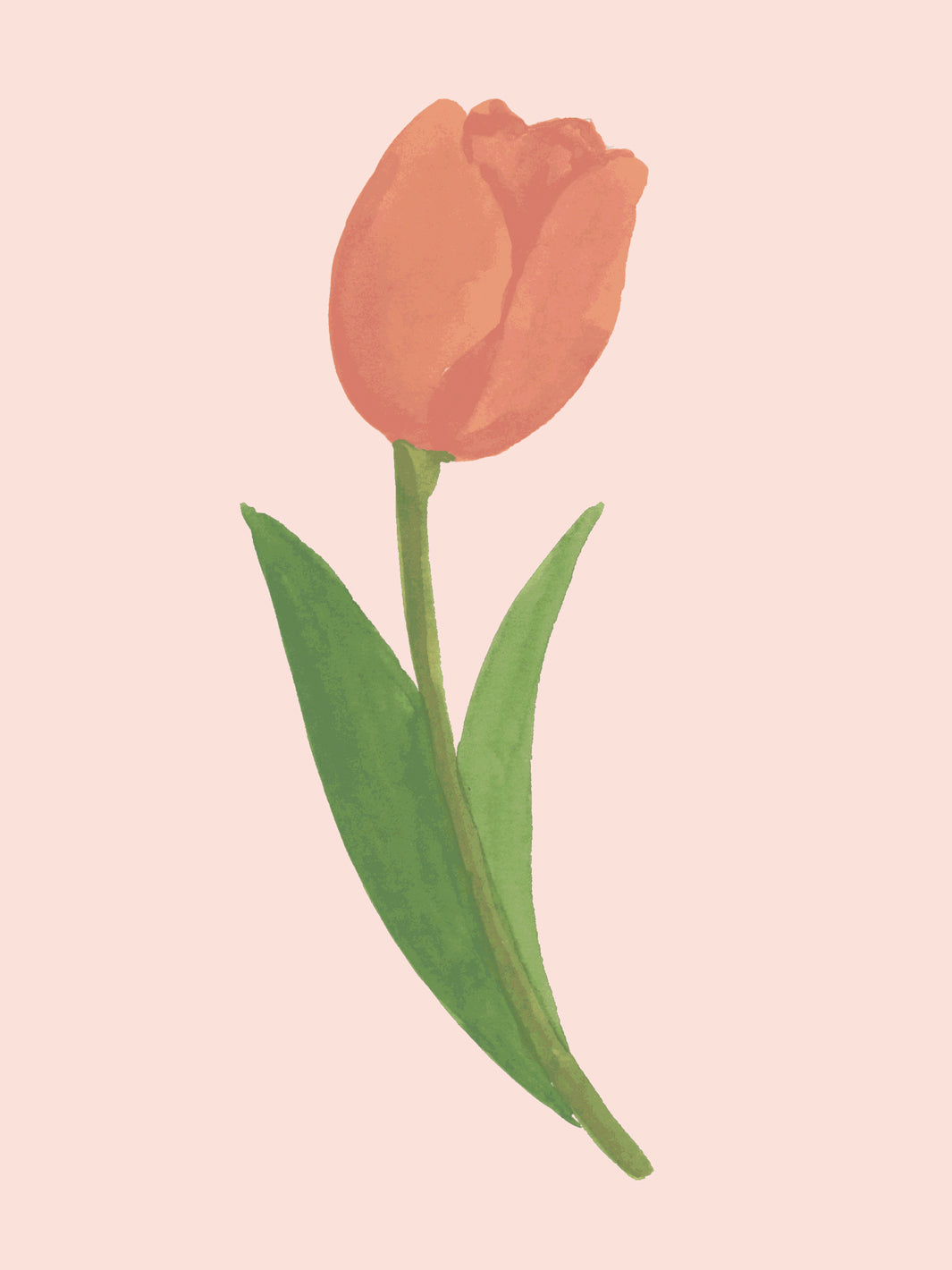 'Painted Tulip' Wallpaper in Blush Bloom - Detail Close-Up