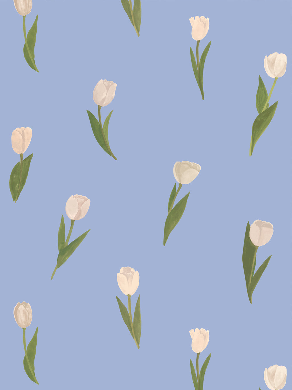 'Painted Tulip' Wallpaper in Cornflower - Design Pattern