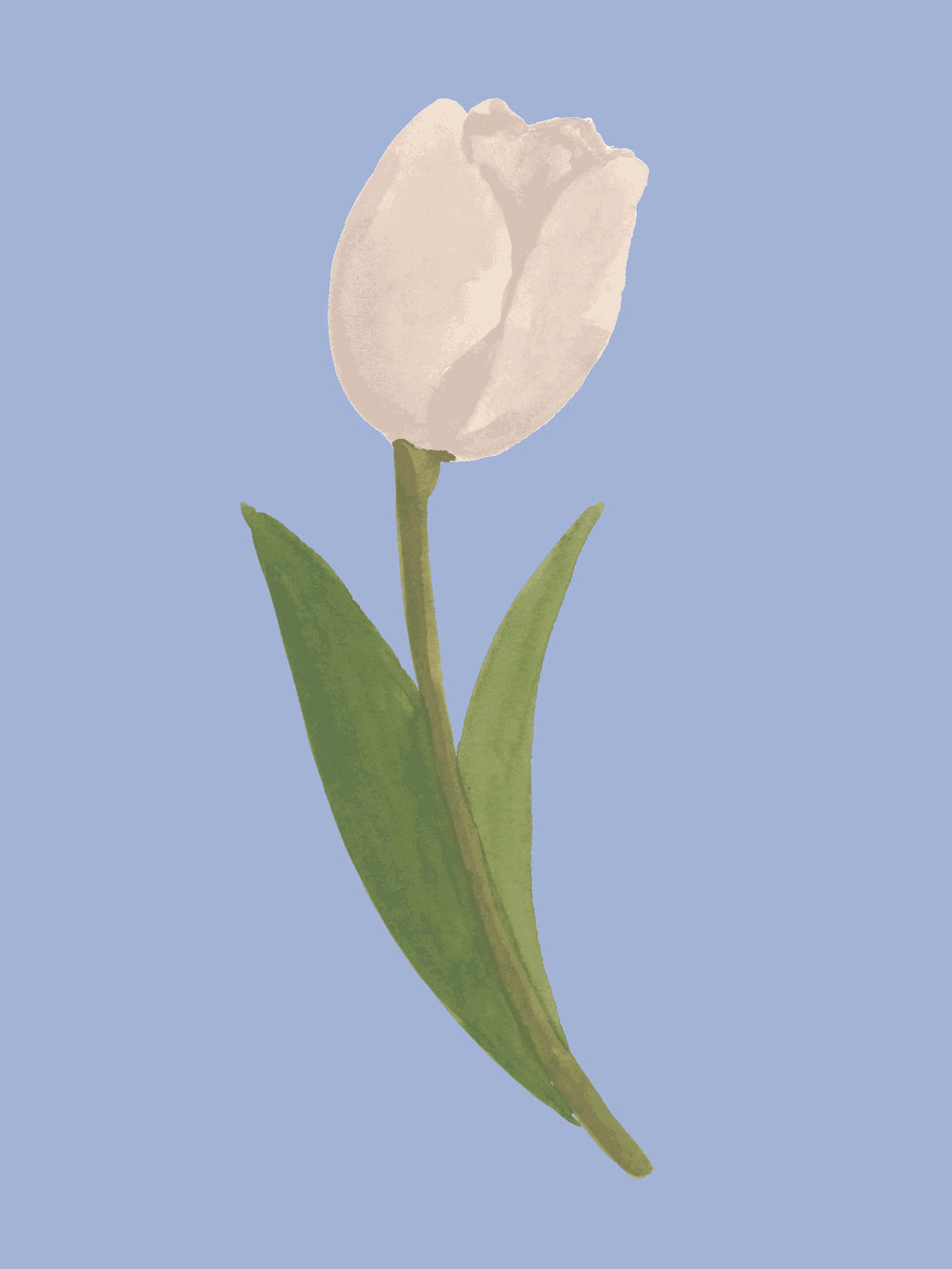 'Painted Tulip' Wallpaper in Cornflower - Detail Close-Up