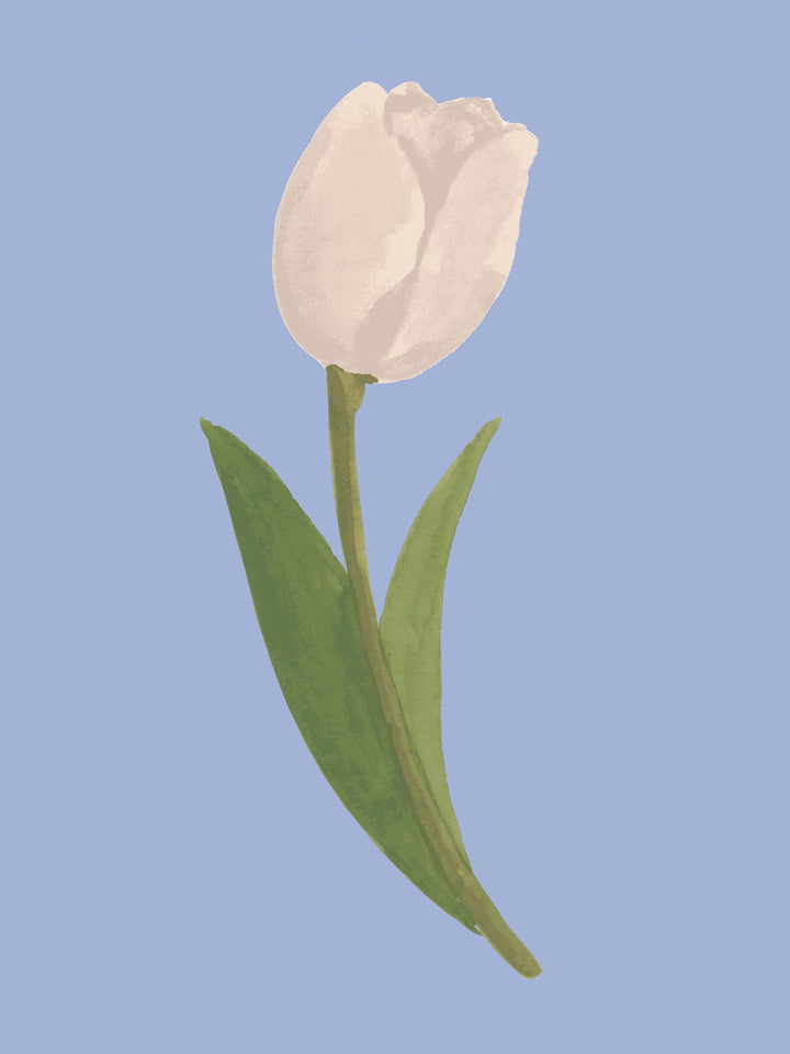 'Painted Tulip' Wallpaper in Cornflower - Detail Close-Up