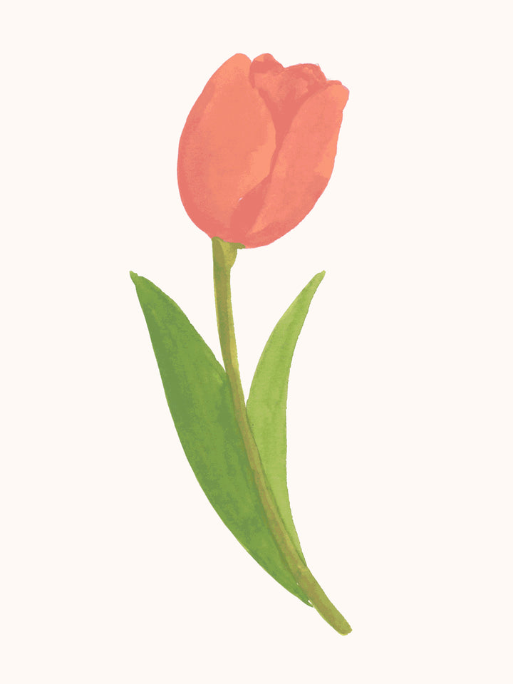 'Painted Tulip' Wallpaper in Soft Peach - Detail Close-Up