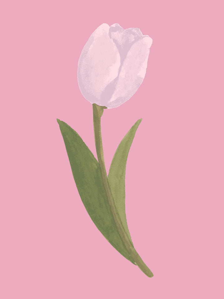 'Painted Tulip' Wallpaper in Cherry Blossom - Detail Close-Up