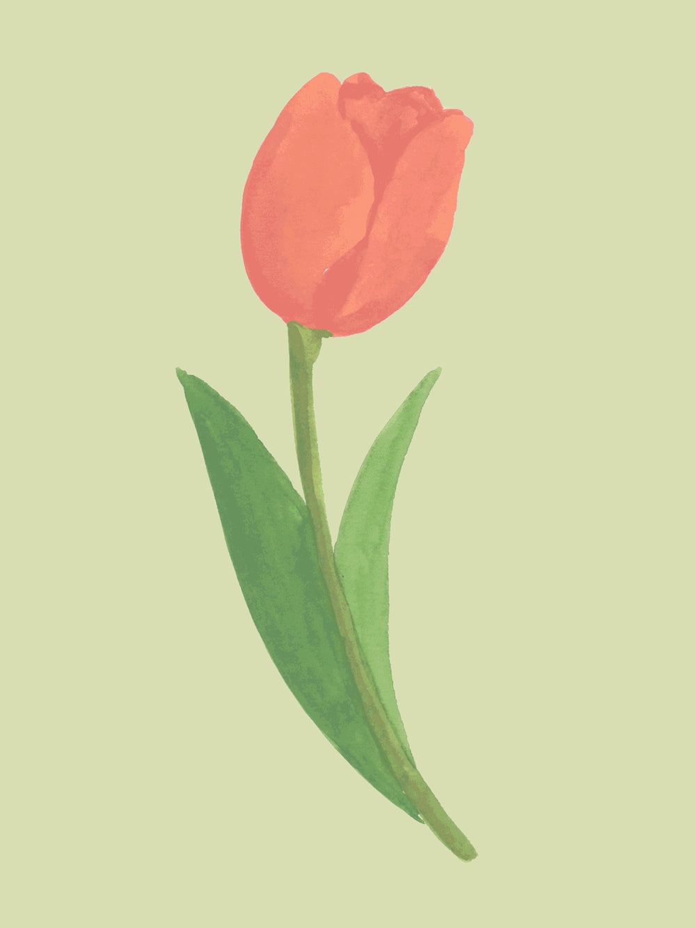 'Painted Tulip' Wallpaper in Green Field - Detail Close-Up