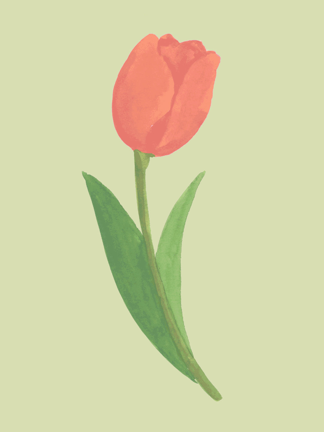 'Painted Tulip' Wallpaper in Green Field - Detail Close-Up