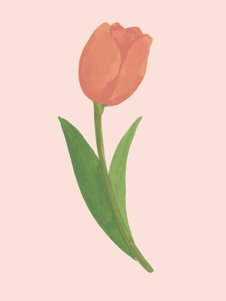 'Painted Tulip' Wallpaper by Wallshoppe - Soft Peach