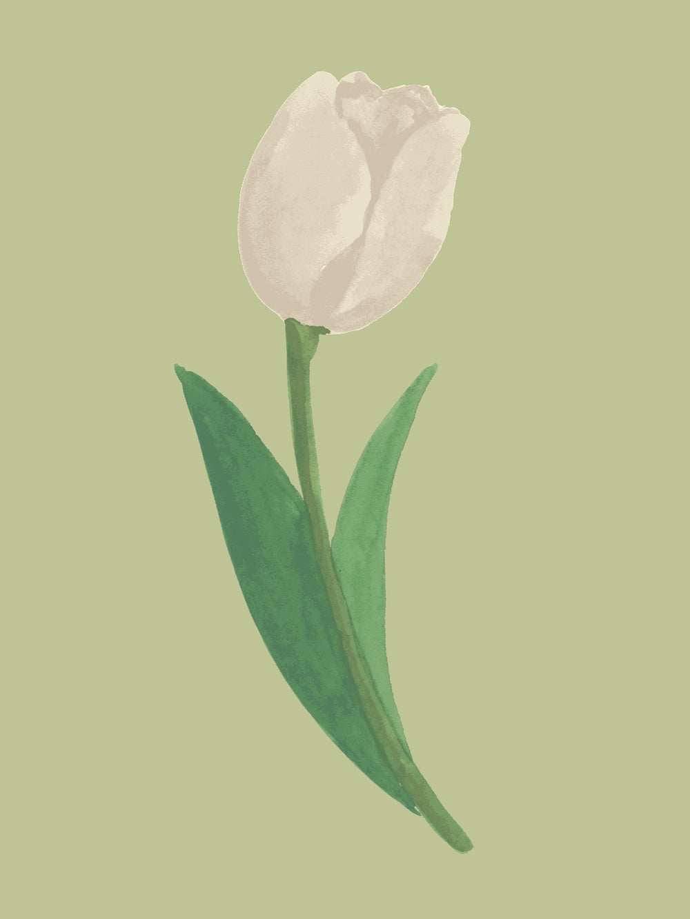 'Painted Tulip' Wallpaper in Sage Cream - Detail Close-Up