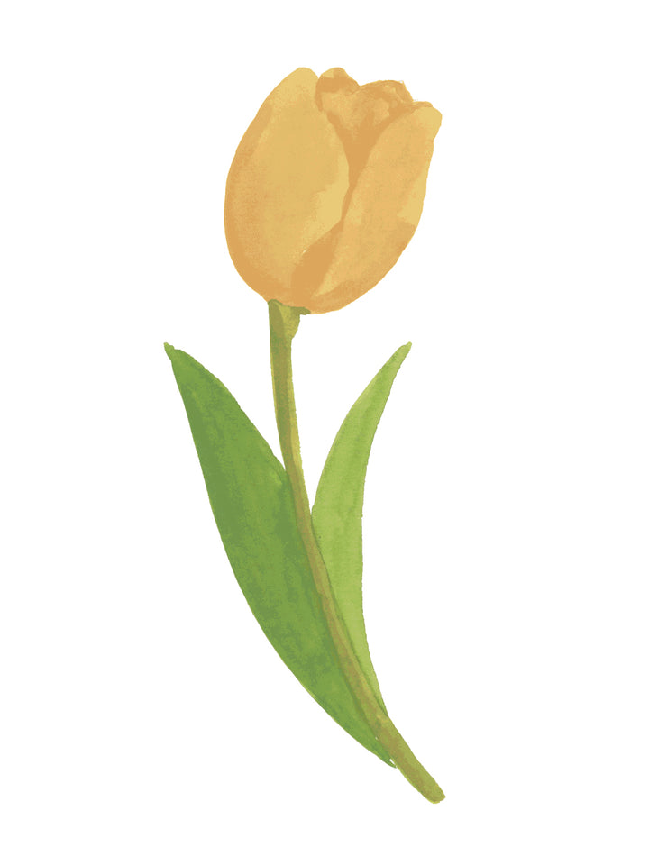 'Painted Tulip' Wallpaper in Sun Gold - Detail Close-Up