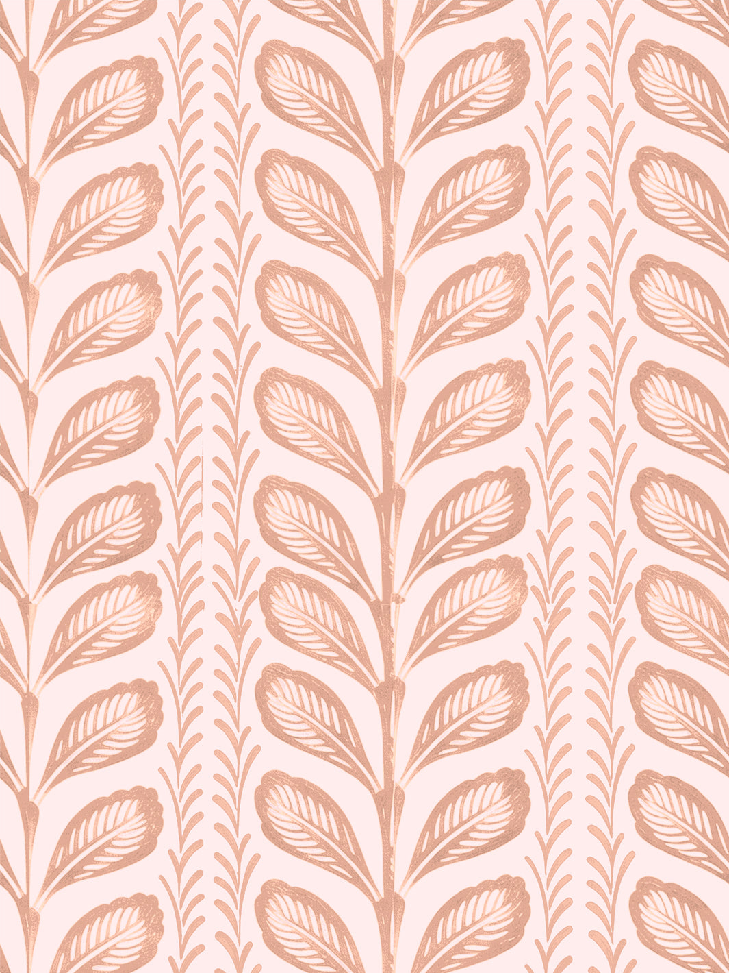 'Painted Vine' Wallpaper by Wallshoppe - Blush Peach - Design