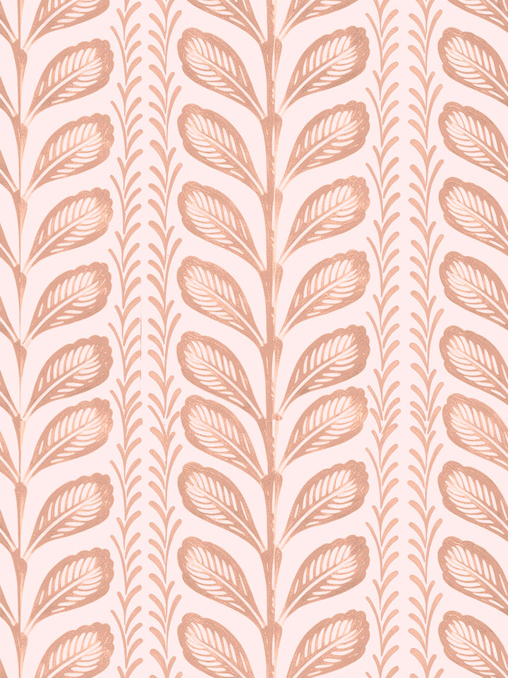 'Painted Vine' Wallpaper by Wallshoppe - Blush Peach - Design