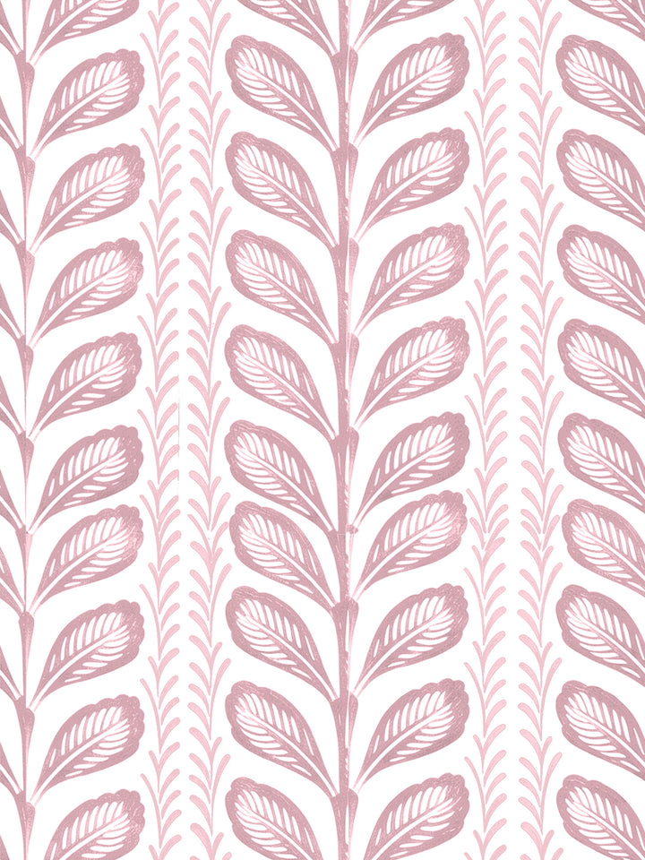 'Painted Vine' Wallpaper by Wallshoppe - Rose Pink - Design